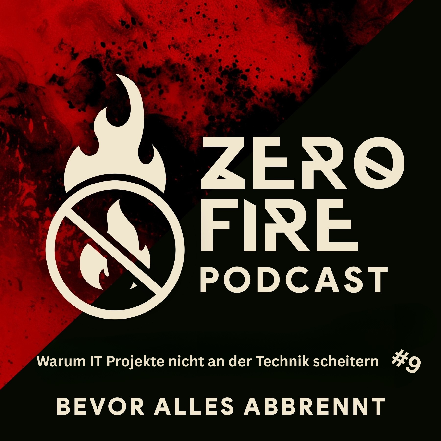Podcast-Cover Folge 9: Warum Projekte nicht an der Technik scheitern