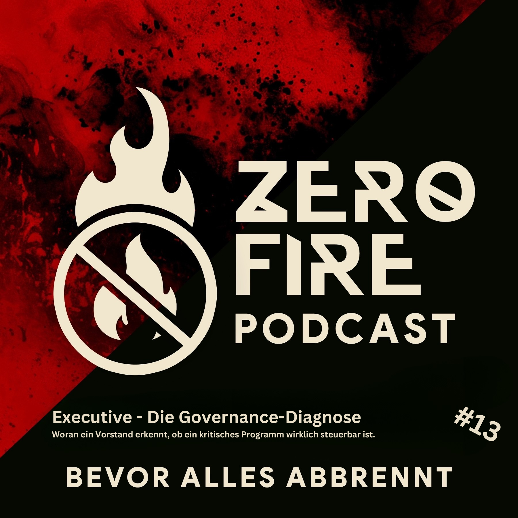 Podcast-Cover Folge 13: Die Governance Diagnose